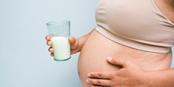 Kolektor pokarmu - co to jest?